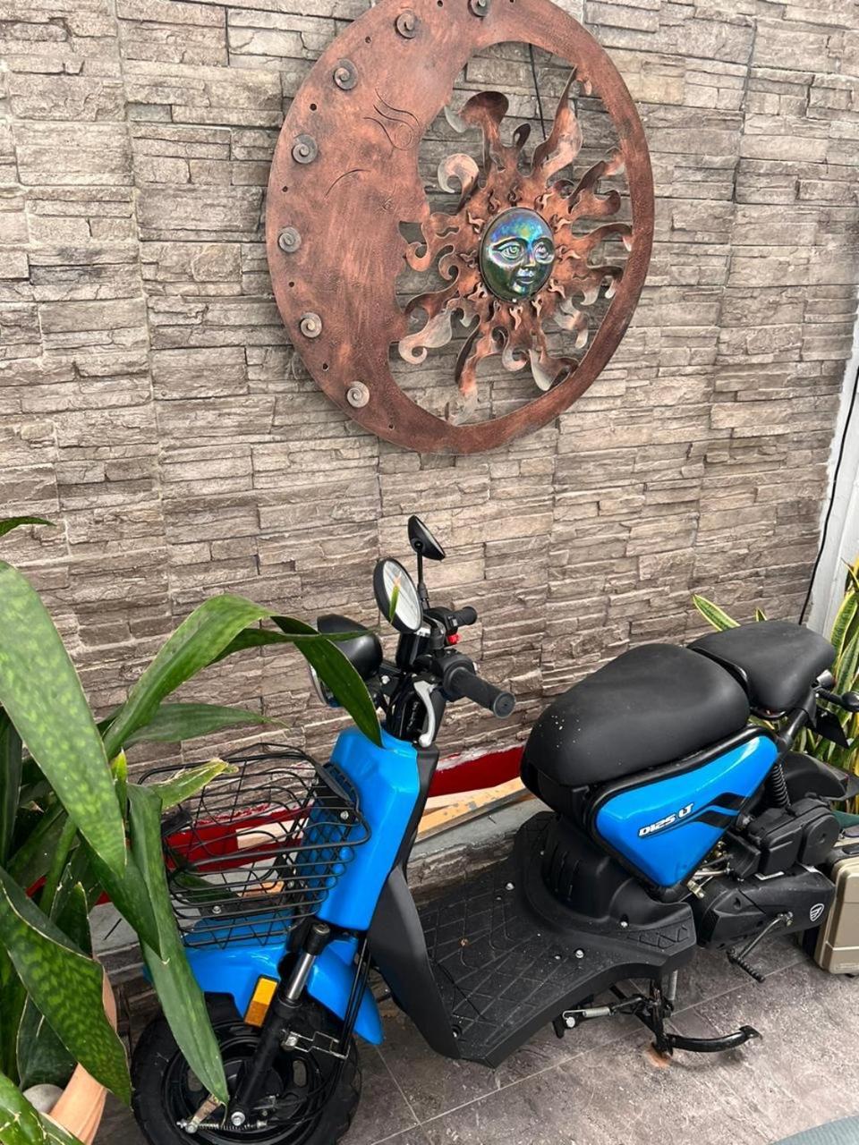 Cancun Ocean View Flamingo Plus Екстериор снимка