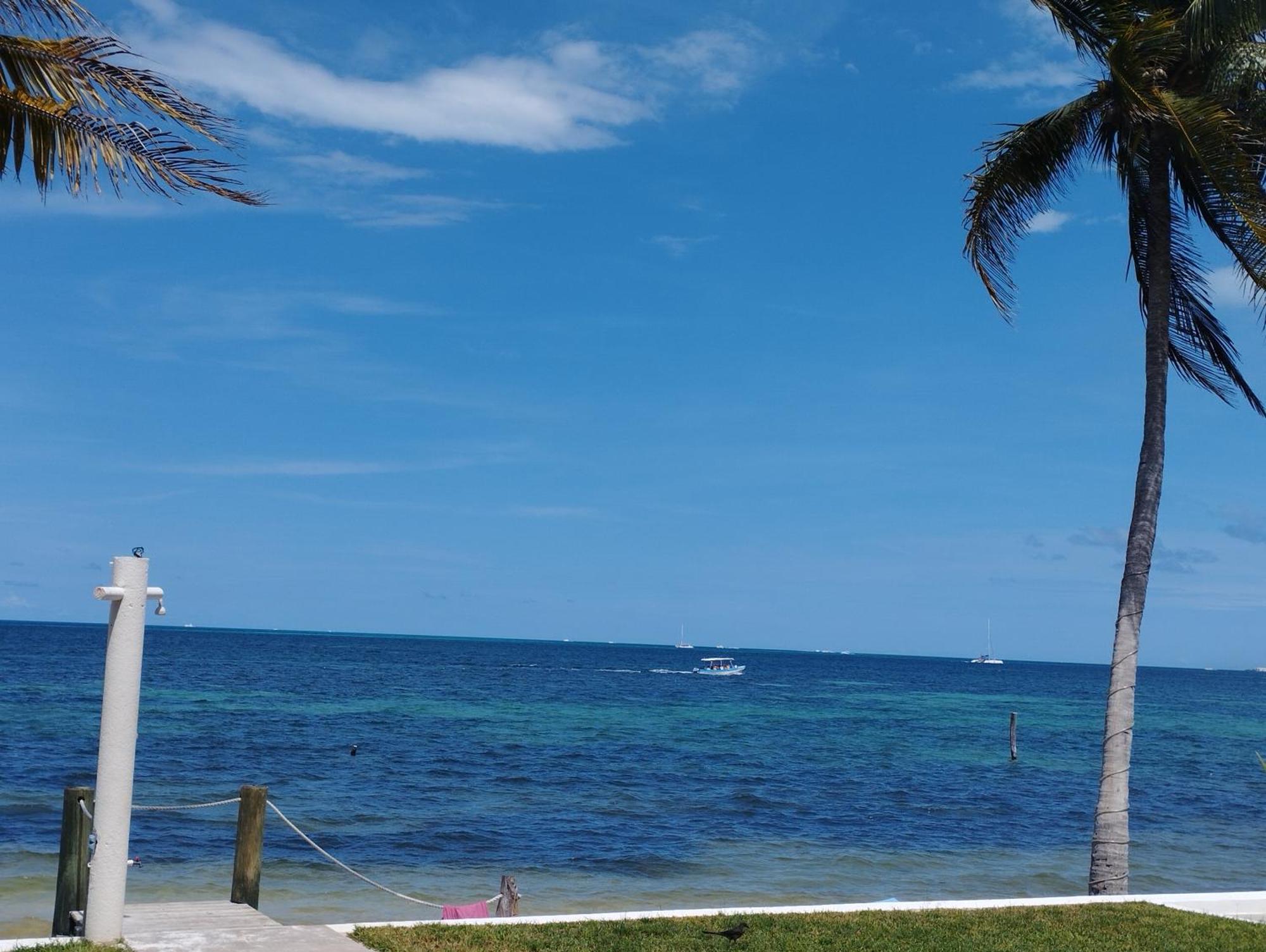 Cancun Ocean View Flamingo Plus Екстериор снимка